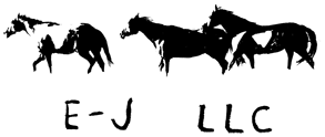 E-J LLC